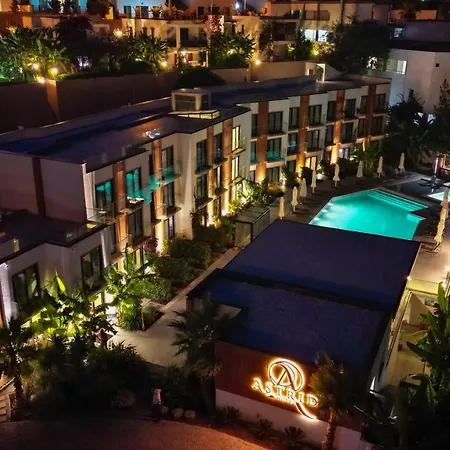 Bodrum Astrid Отель Гюмюшлюк