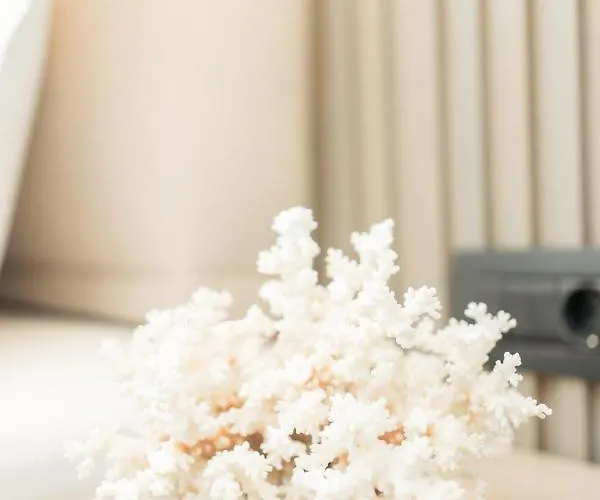 Bodrum Astrid Gumusluk